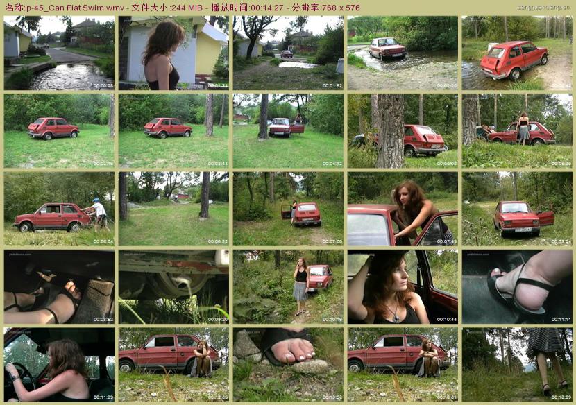 p-45_Can Fiat Swim